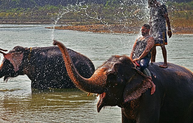 Chitwan National Park
