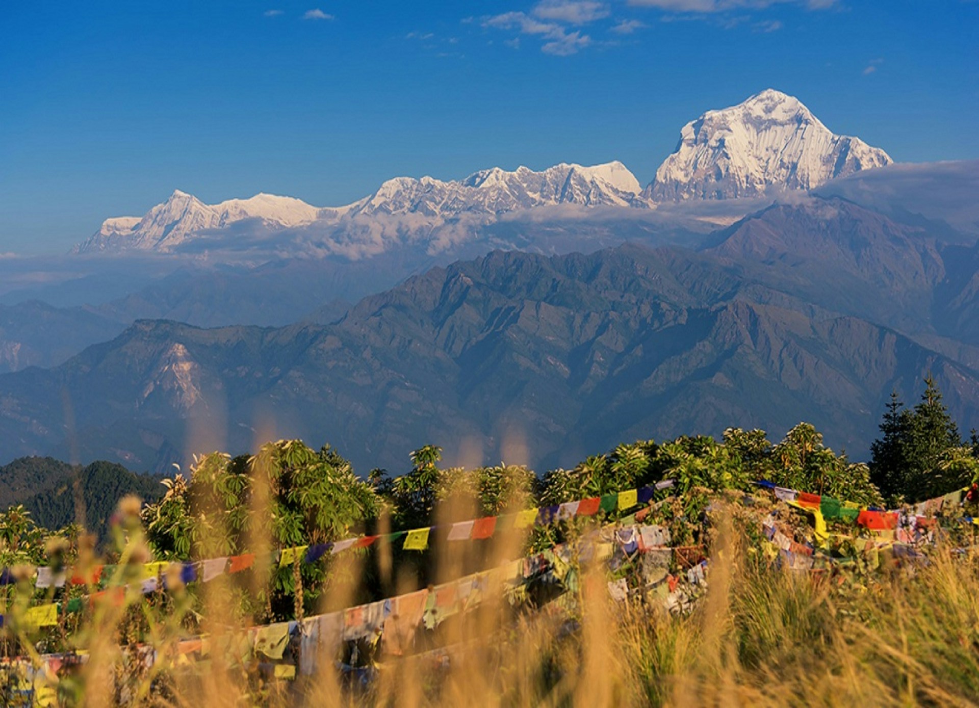 7 Nights 8 Days Himalayan Trek