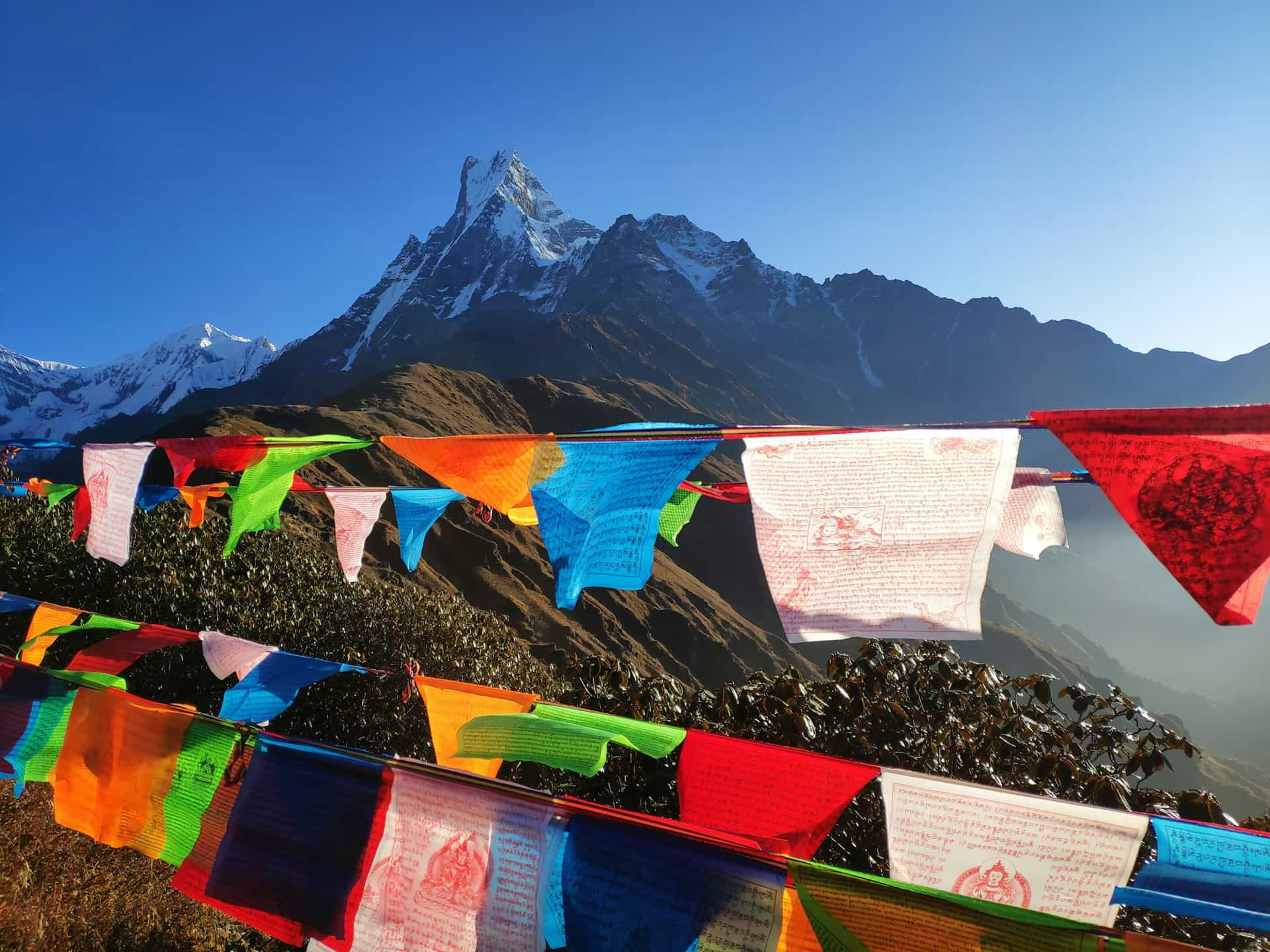 TDI Nepal Introduction