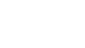 TDI logo
